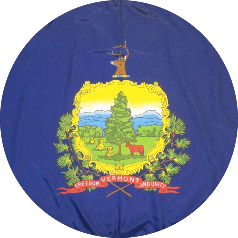 Flag of Vermont