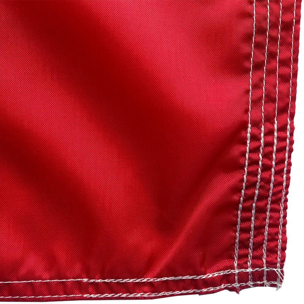 California flag - Image 4