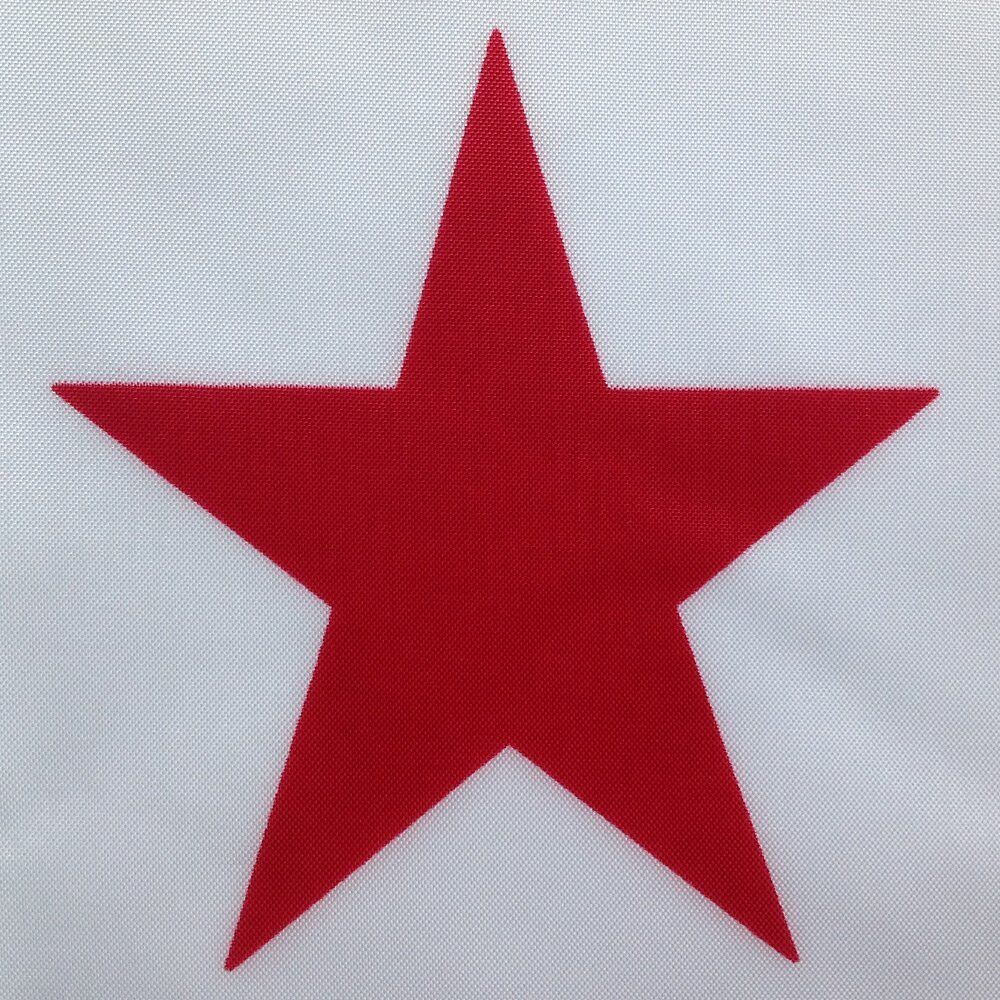 California flag - Image 3