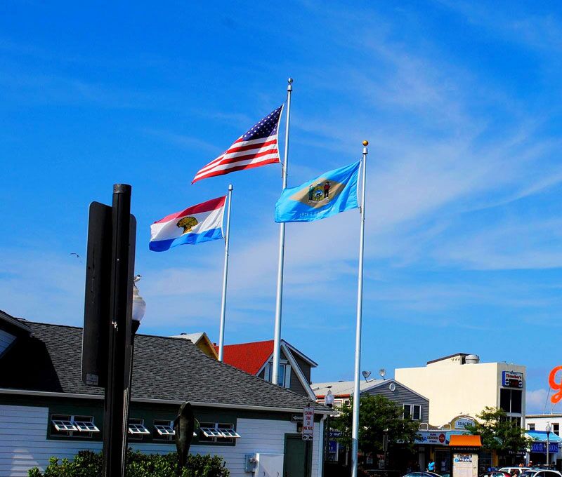 Delaware flag - Image 2