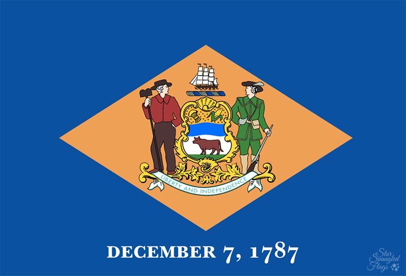 Delaware flag - Image 3